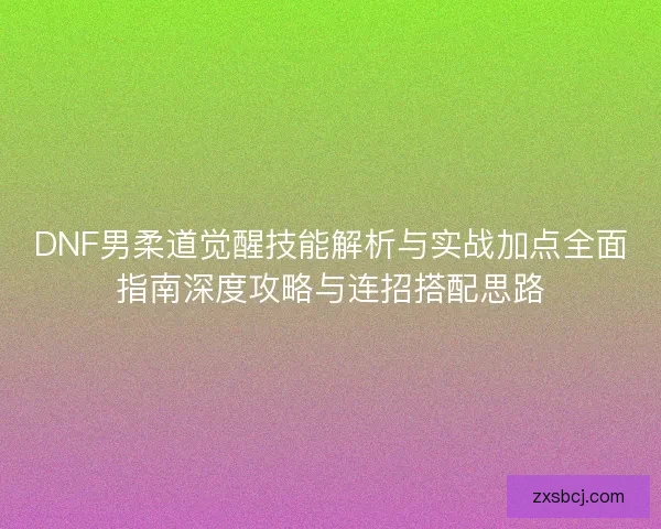 DNF男柔道觉醒技能解析与实战加点全面指南深度攻略与连招搭配思路